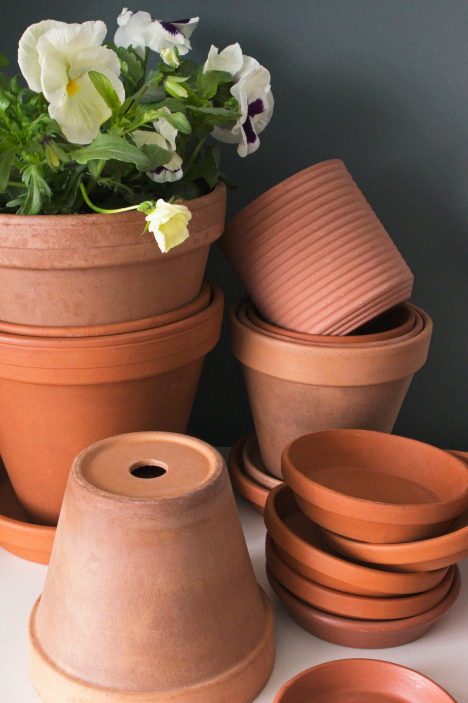 Terracotta