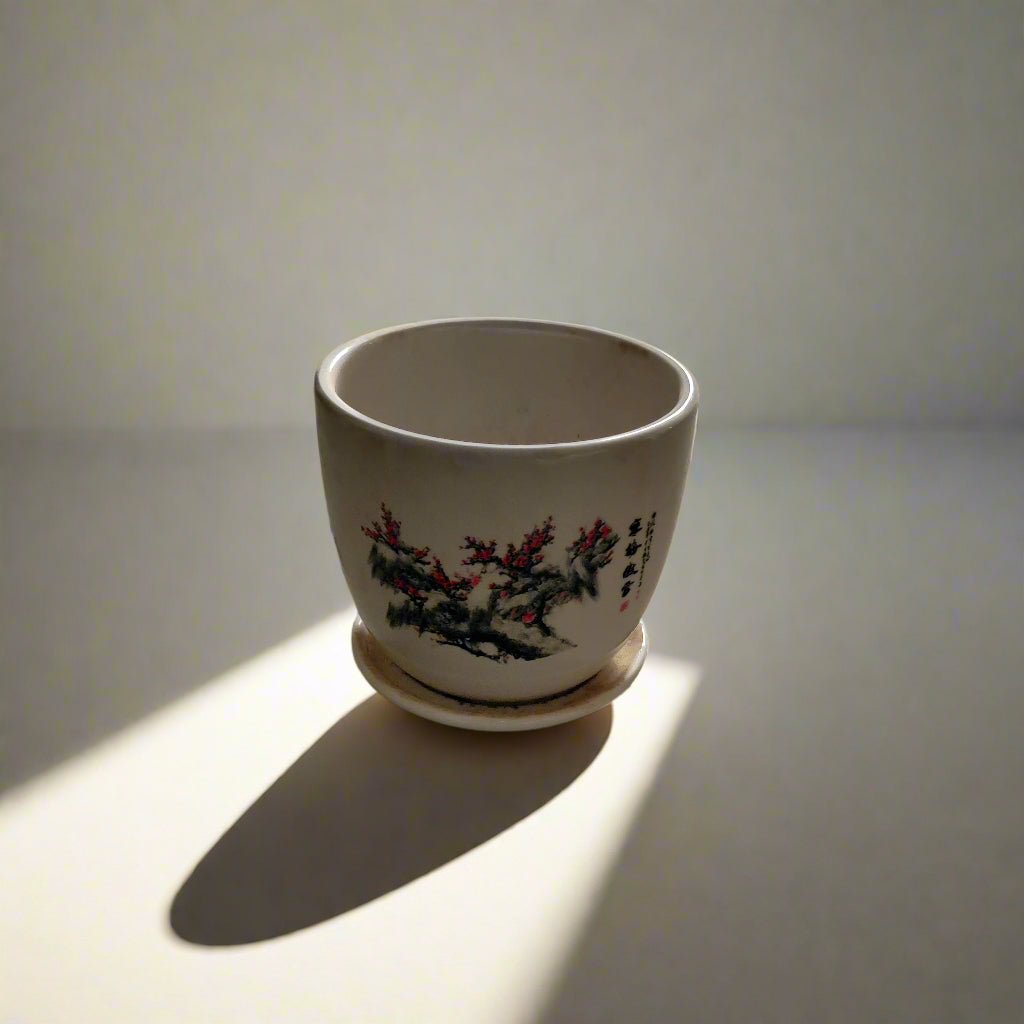 Ceramic Pot in Bangalore