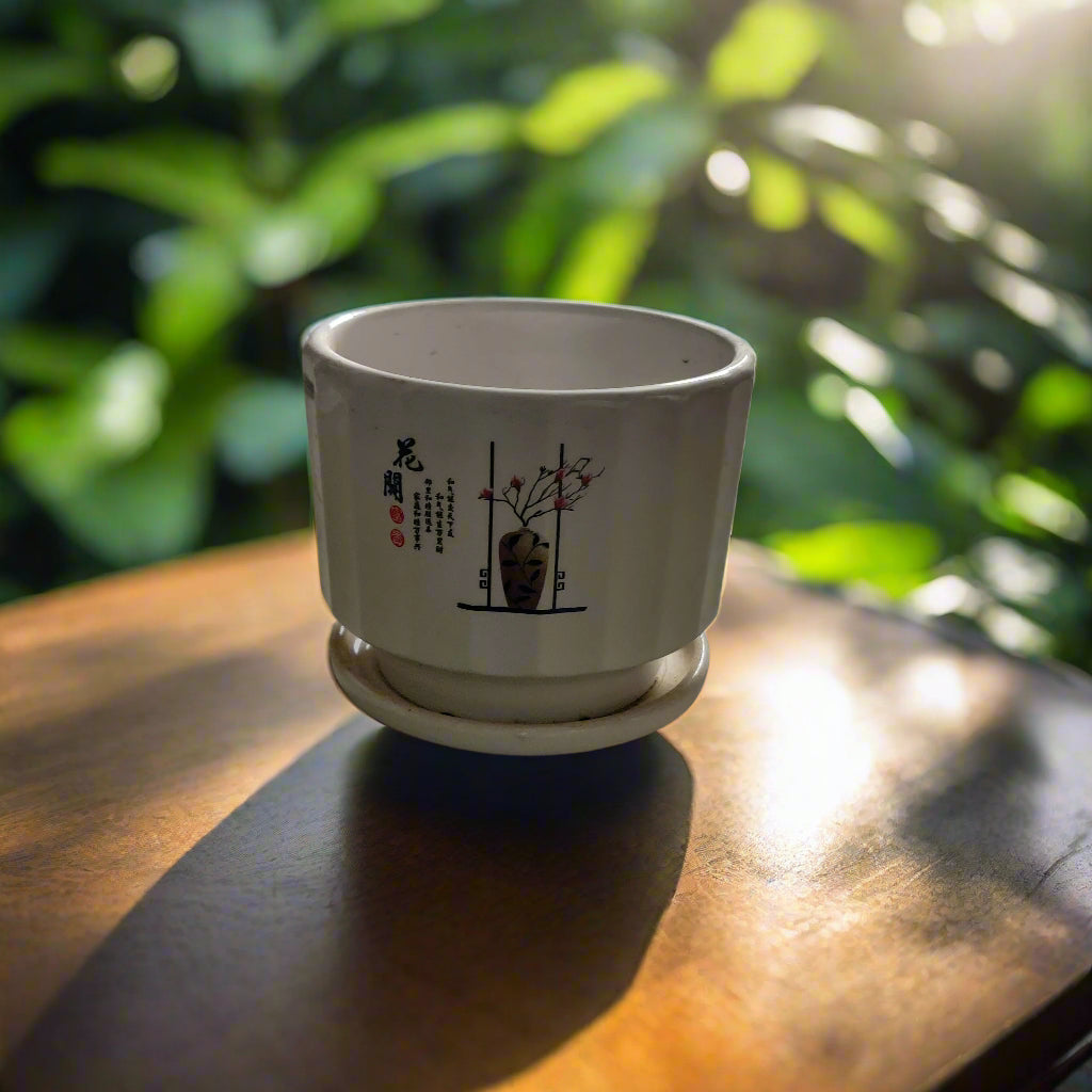 Ceramic Pot for Gifting