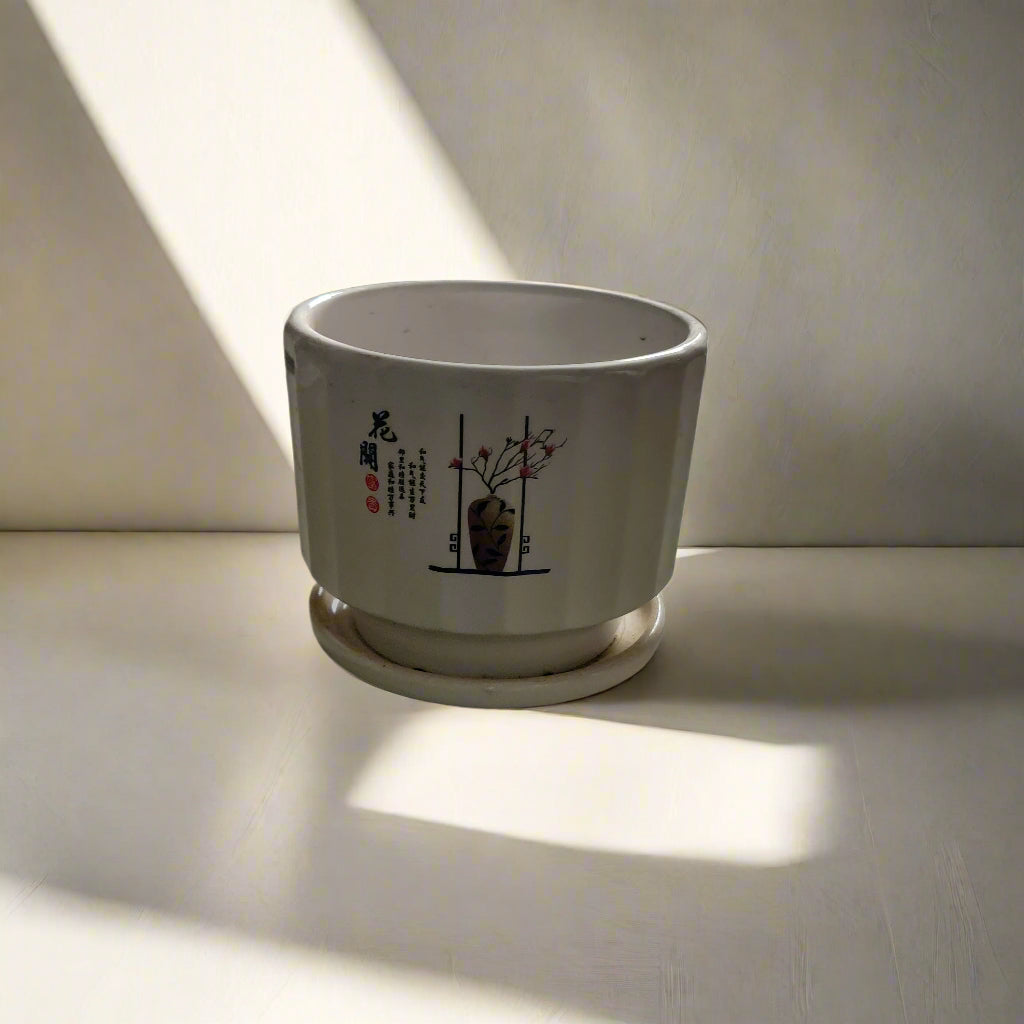 Buy Ceramic Pot From Idyl