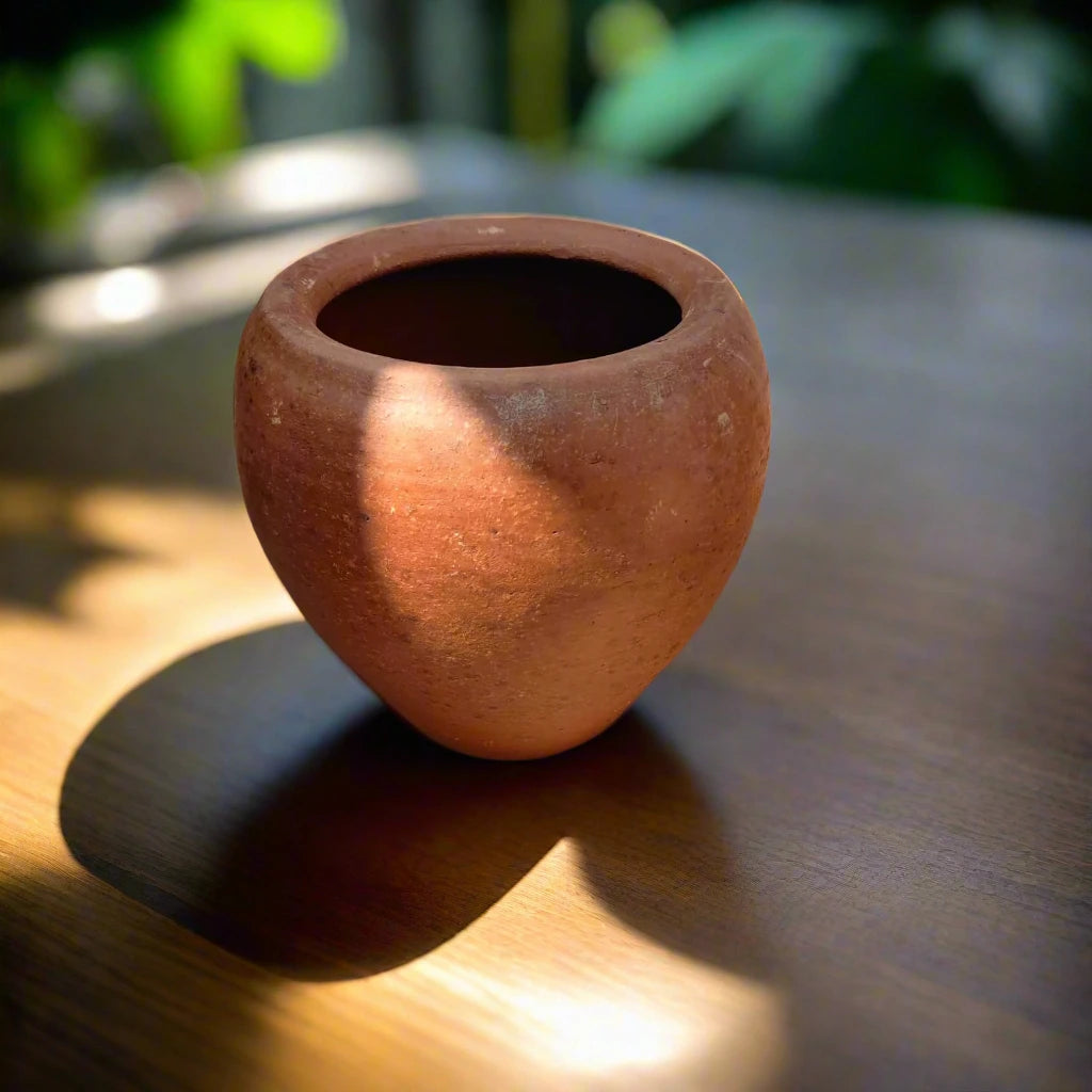 Buy terracotta plant pot online