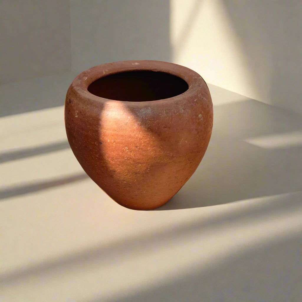 clay planter for all your plants