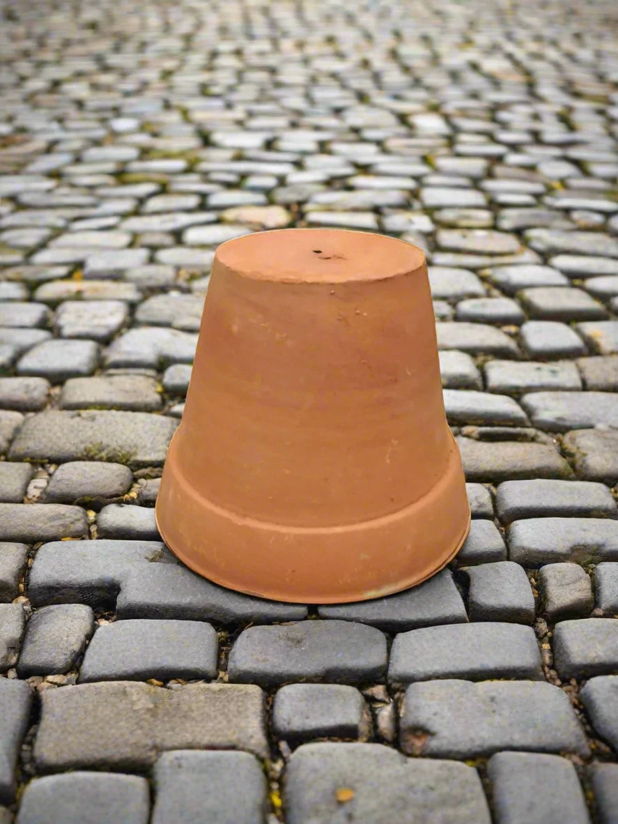 Buy Clay Pot Near Me