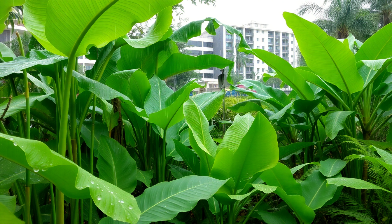 Thrive in the Monsoon: The Best Plants for Rainwater Absorption in Sarjapur Road with Idyl