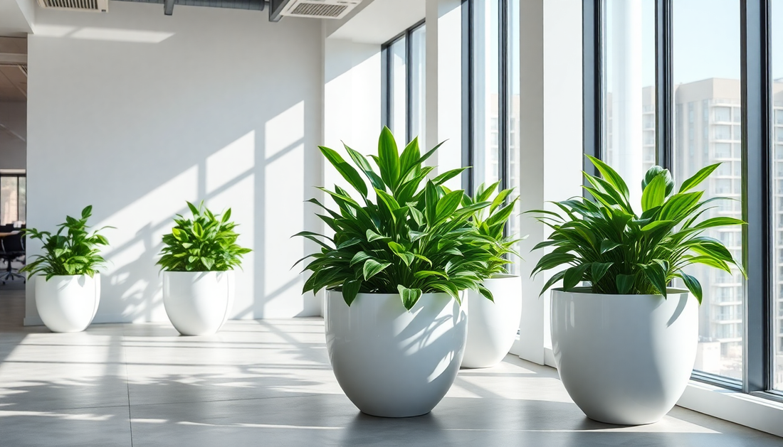 The Best Idyl Planters for a Contemporary Office Greenery Setup in Sarjapur Road