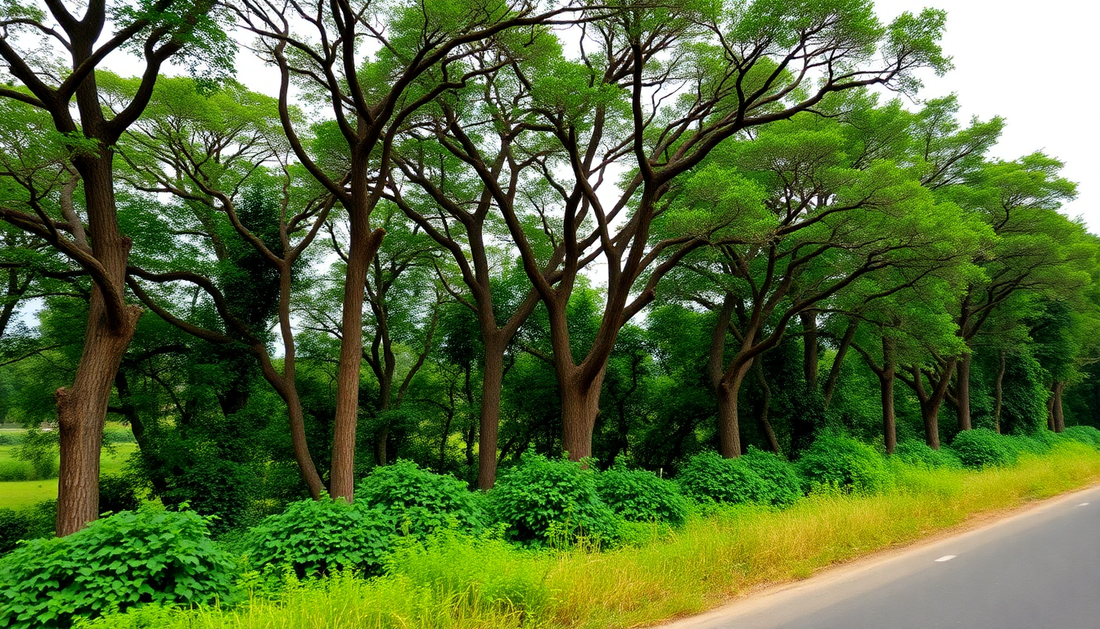 The Best Plants for Creating a Natural Wind Barrier in Sarjapur Road with Idyl
