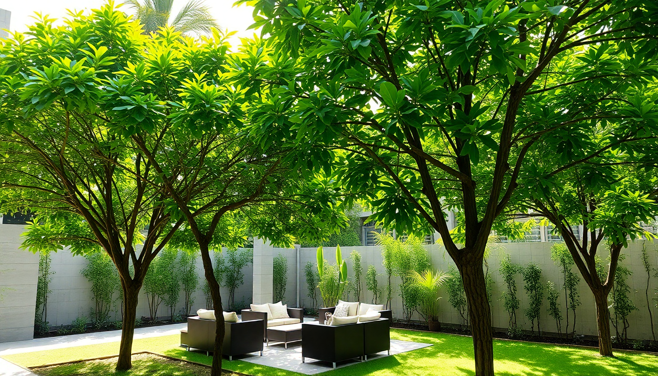 Transforming Your Patio: Fast-Growing Shade Trees That Cool HSR Layout