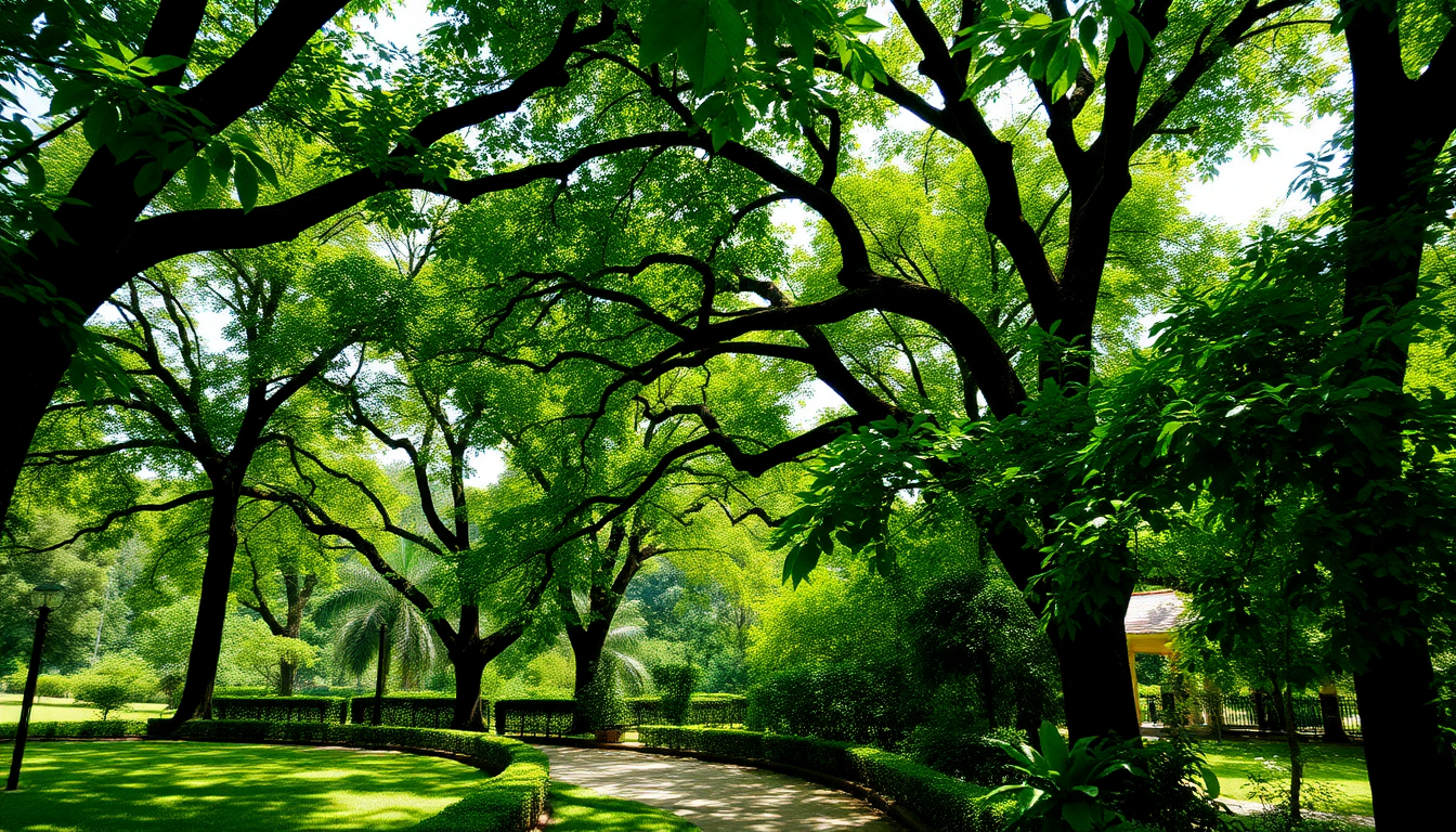 The Best Trees for Creating Shade in Sarjapur Gardens