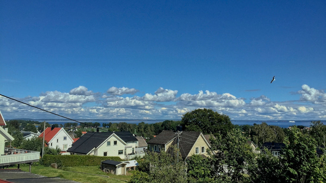white and brown house near green trees under blue sky during daytime