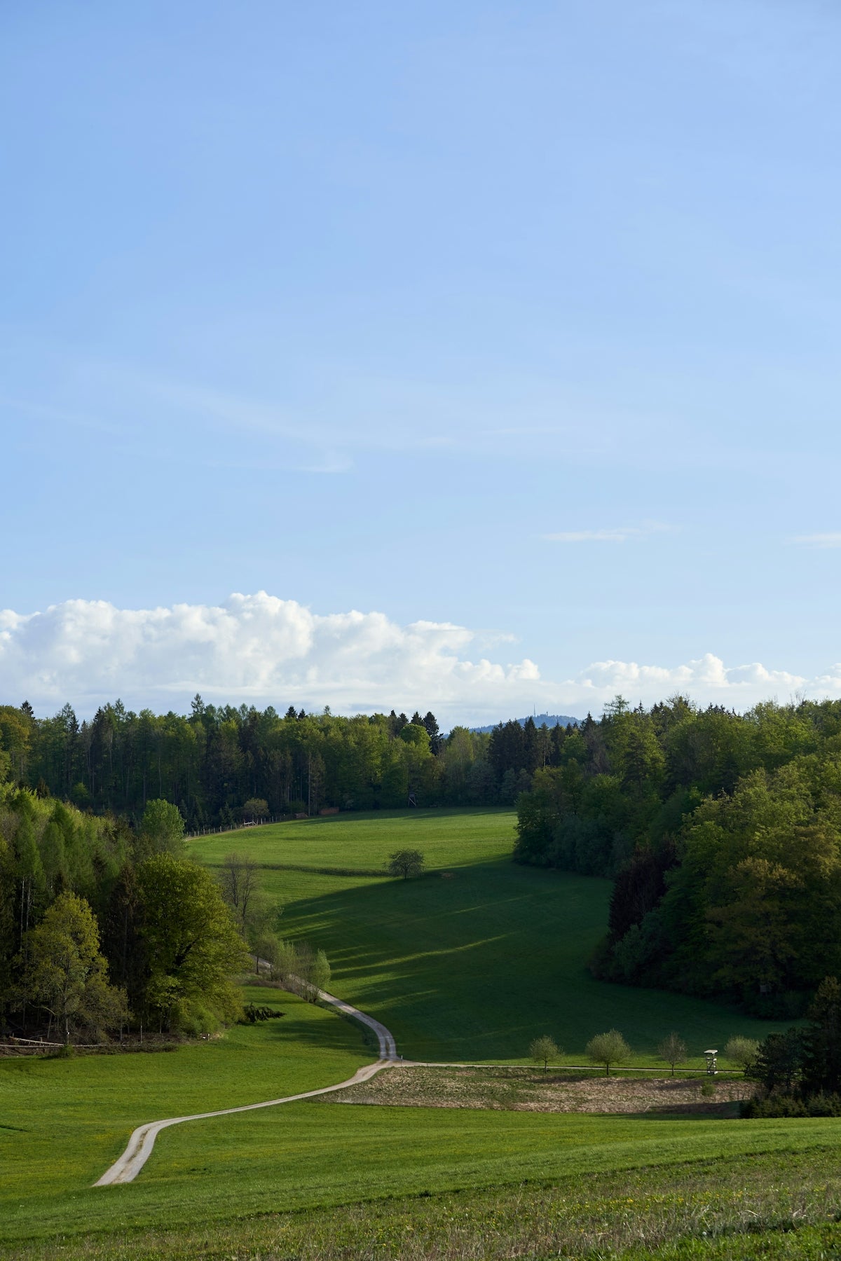 green grass field under blue sky during daytime