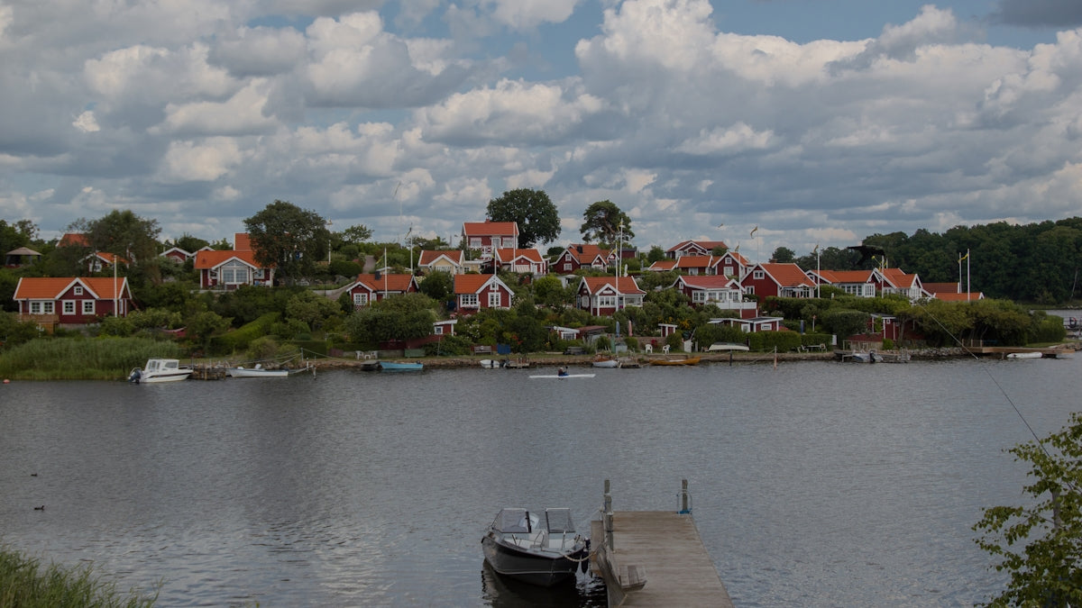 white boat on body of water near green trees during daytime