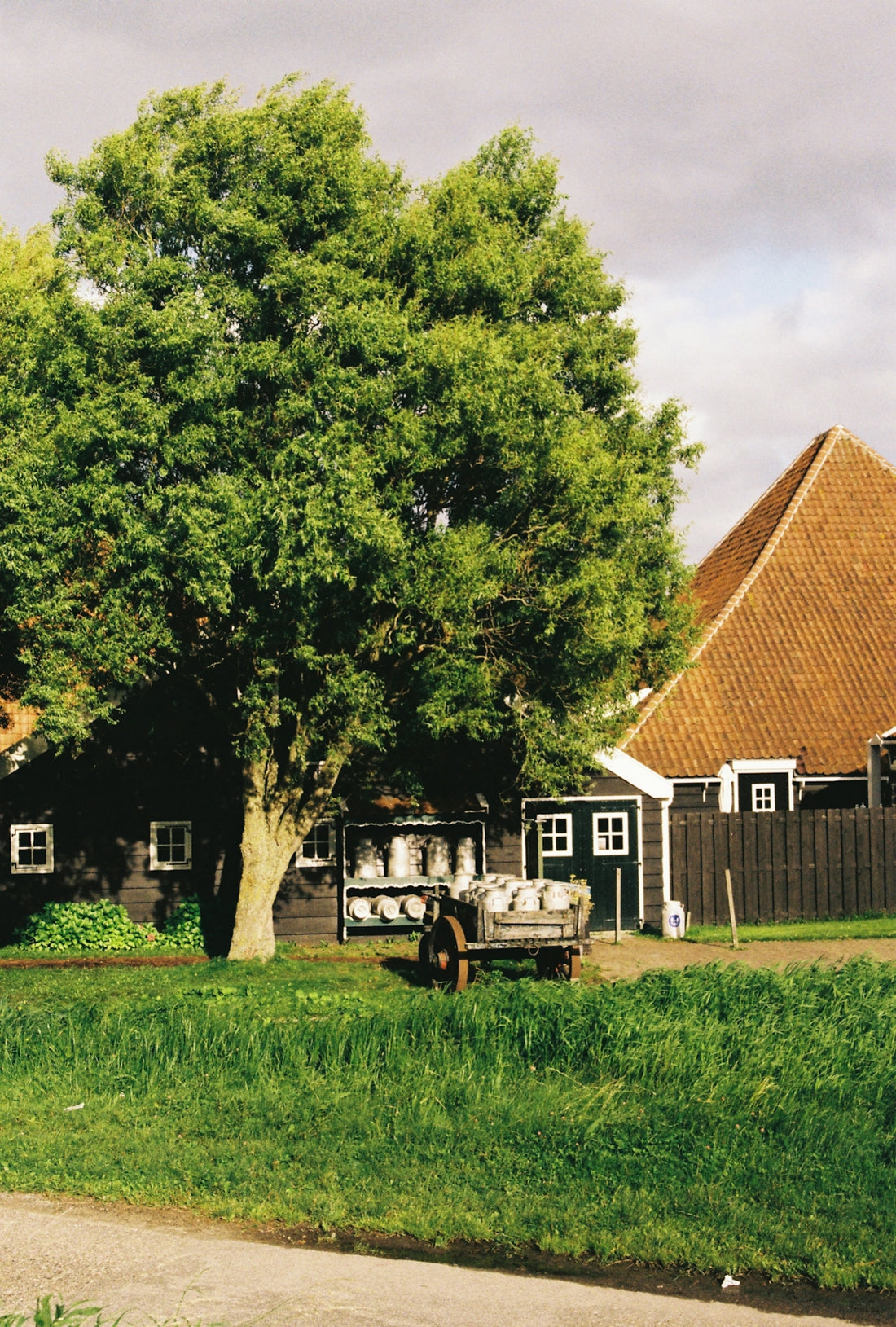 a large tree in front of a house