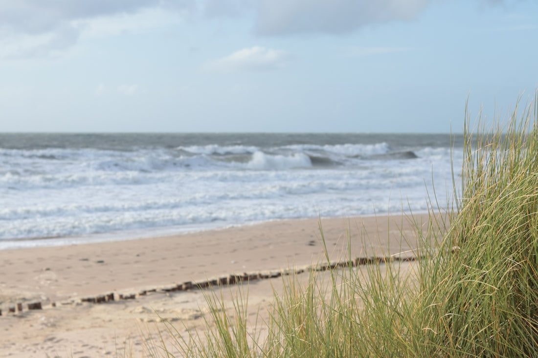a view of the ocean from a sandy beach