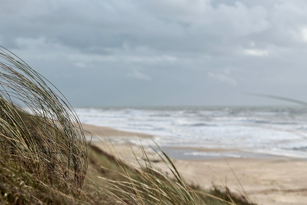a sandy beach with waves coming in from the ocean