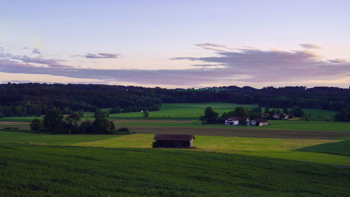 a large green field with a house in the distance