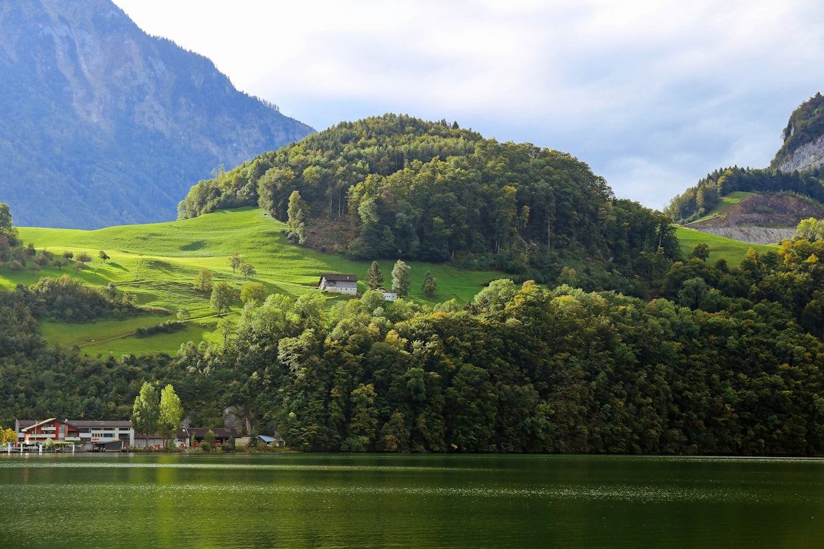 a green valley with trees and a house by a lake
