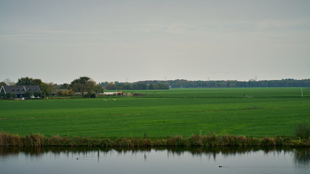 a large green field