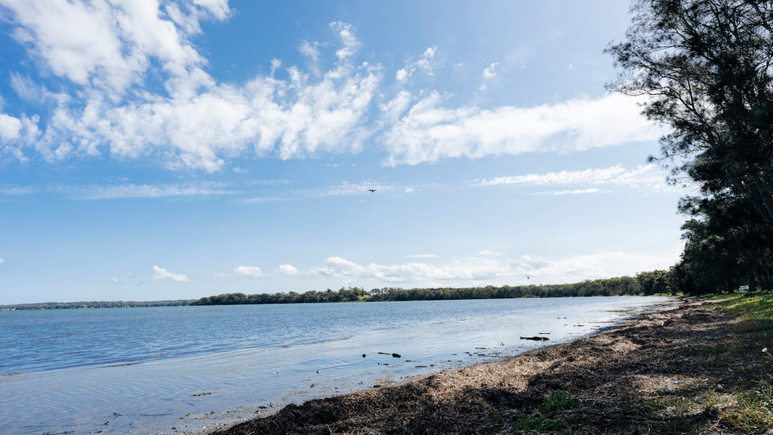 a body of water with trees and a blue sky