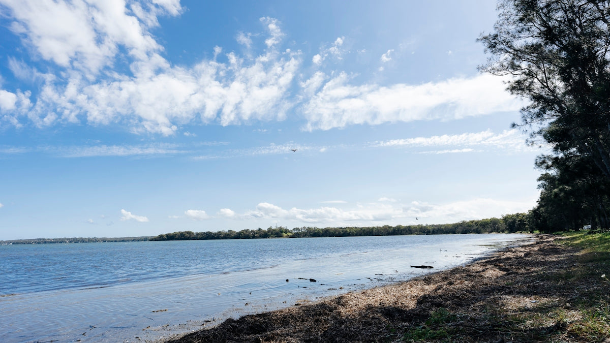 a body of water with trees and a blue sky