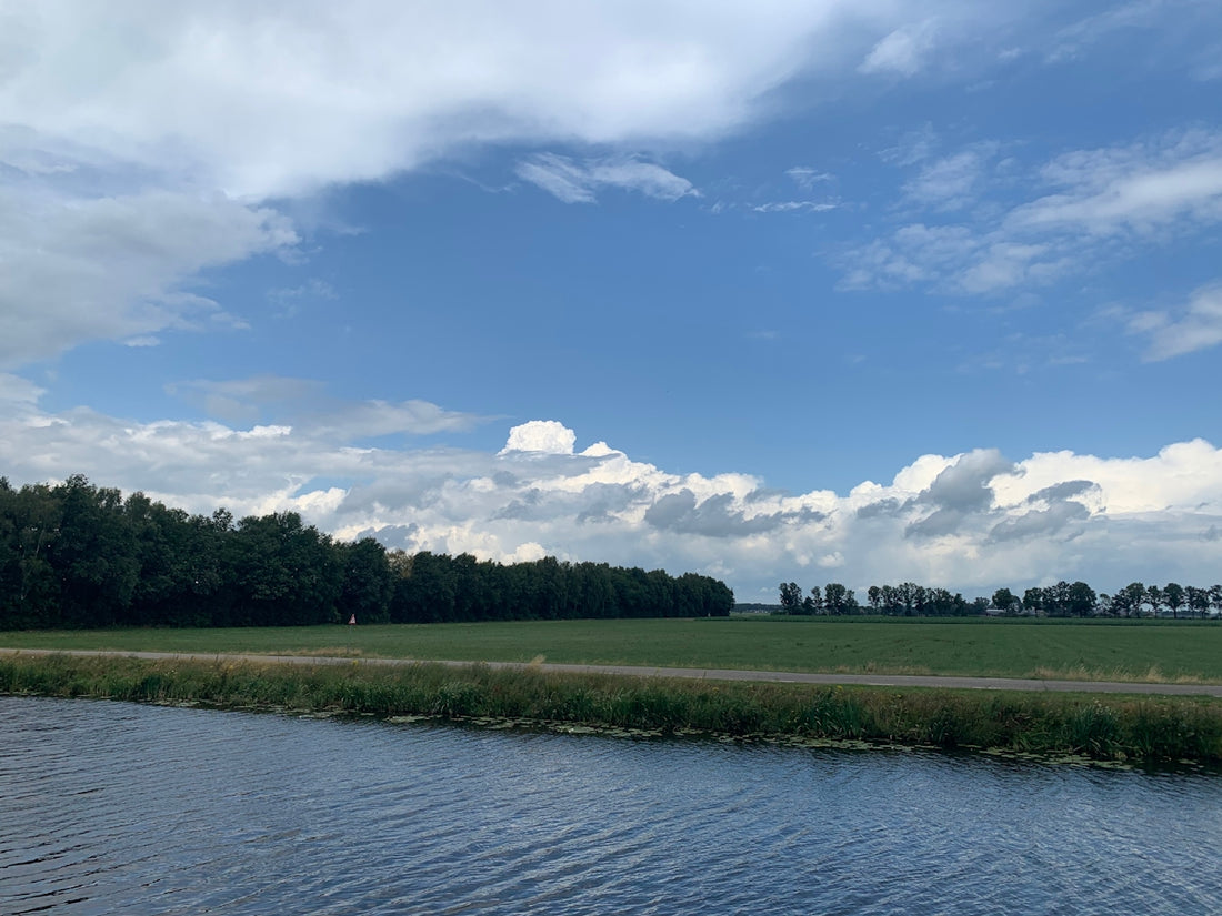 a body of water surrounded by a lush green field