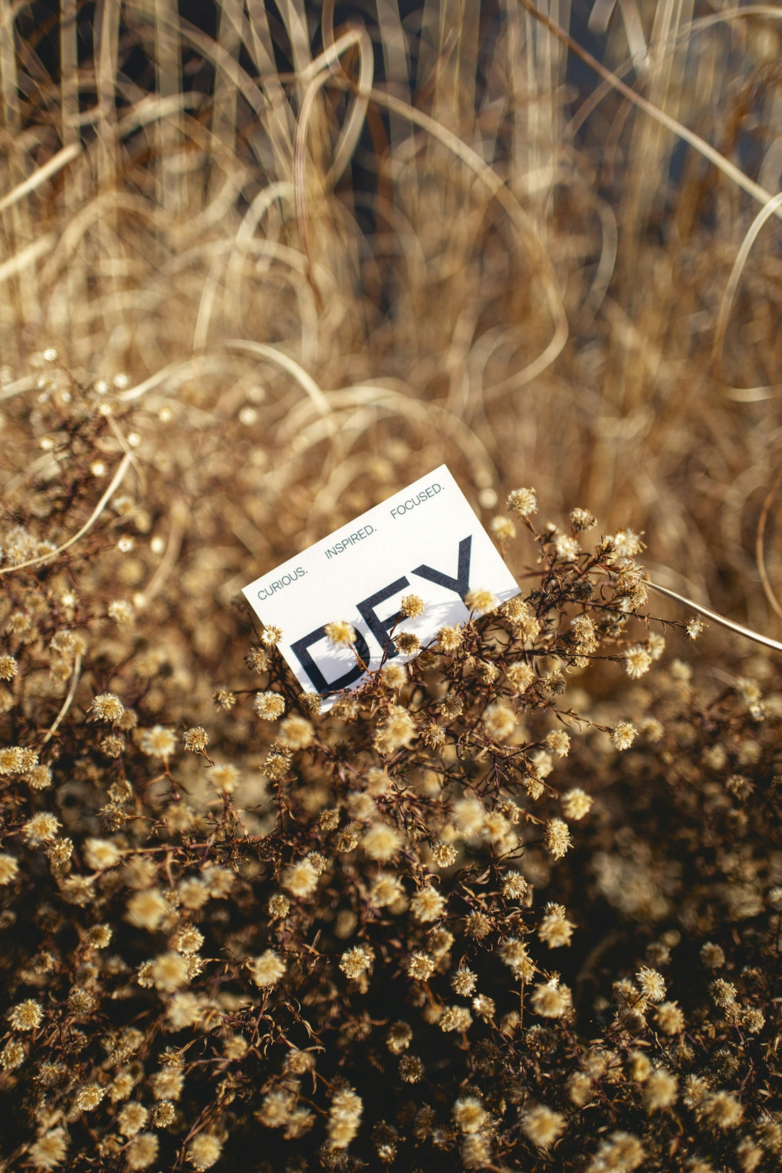 a close up of a plant with a tag on it