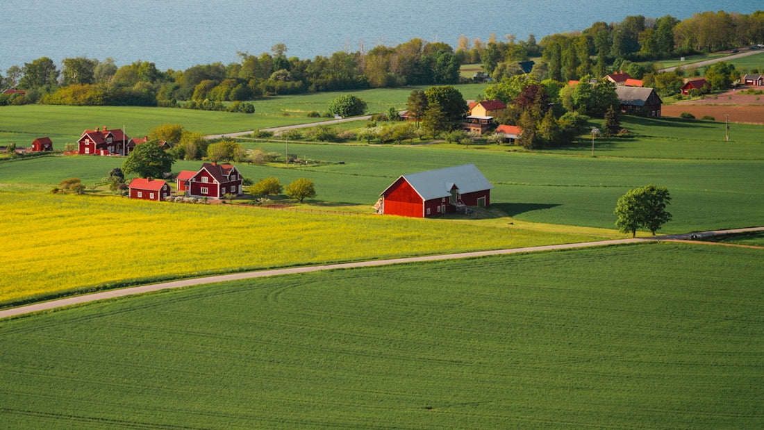 a green field with a red barn and a lake in the background