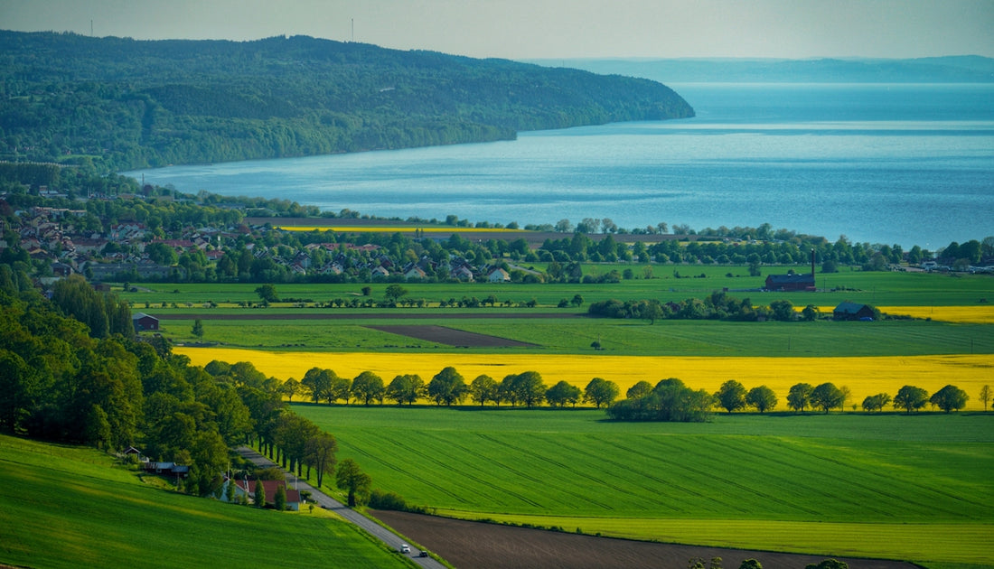 a large body of water surrounded by lush green fields