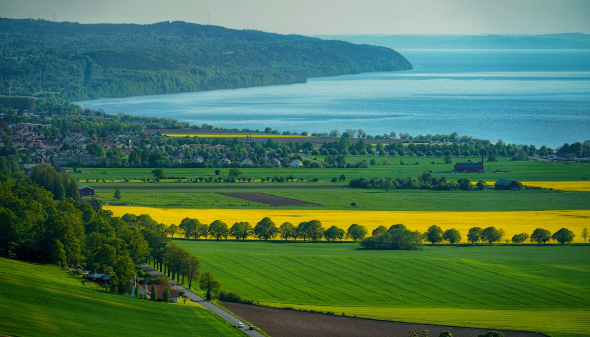 a large body of water surrounded by lush green fields