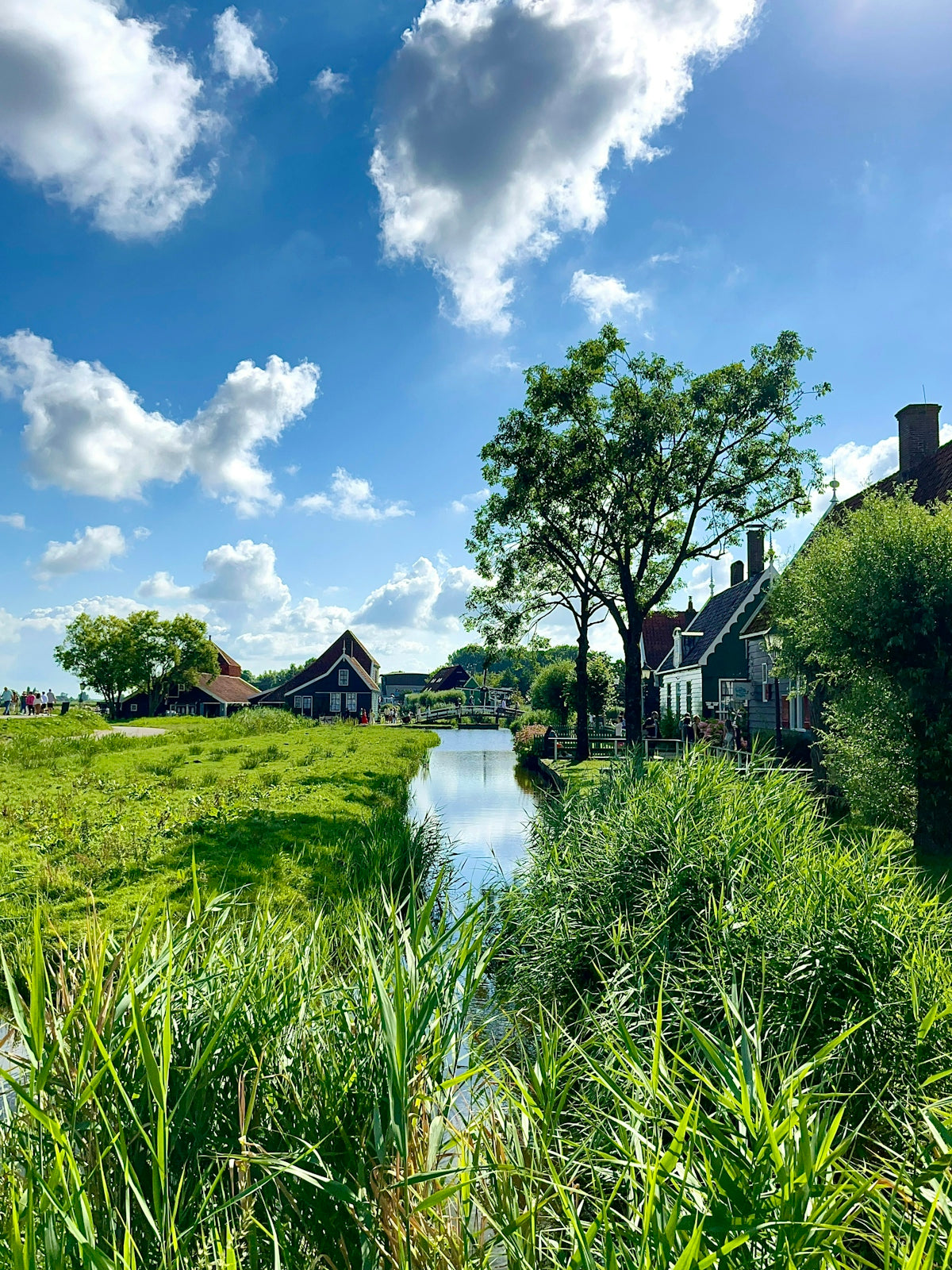 A river running through a lush green countryside