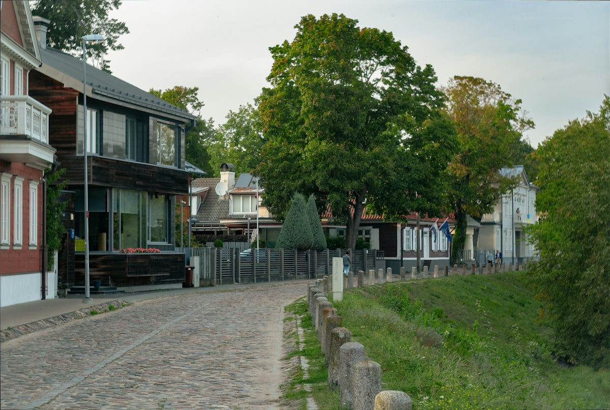 A street lined with houses next to a forest