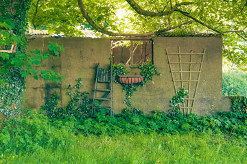 An old building with a ladder in the grass