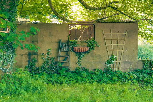 An old building with a ladder in the grass