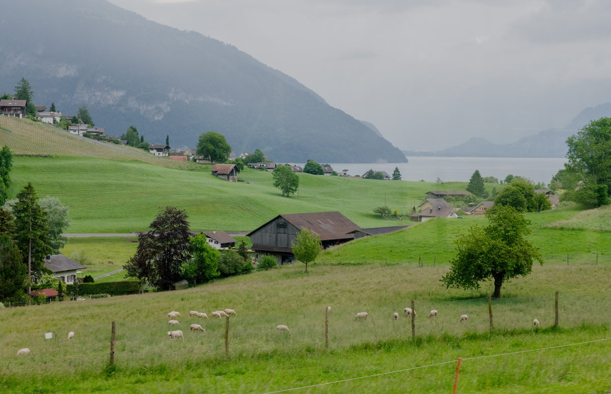 Green fields and houses line a tranquil lake.