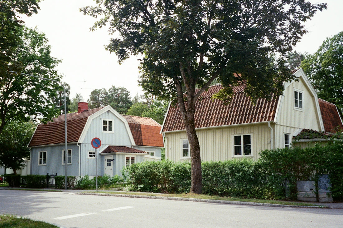 Houses and a tree sit on a street