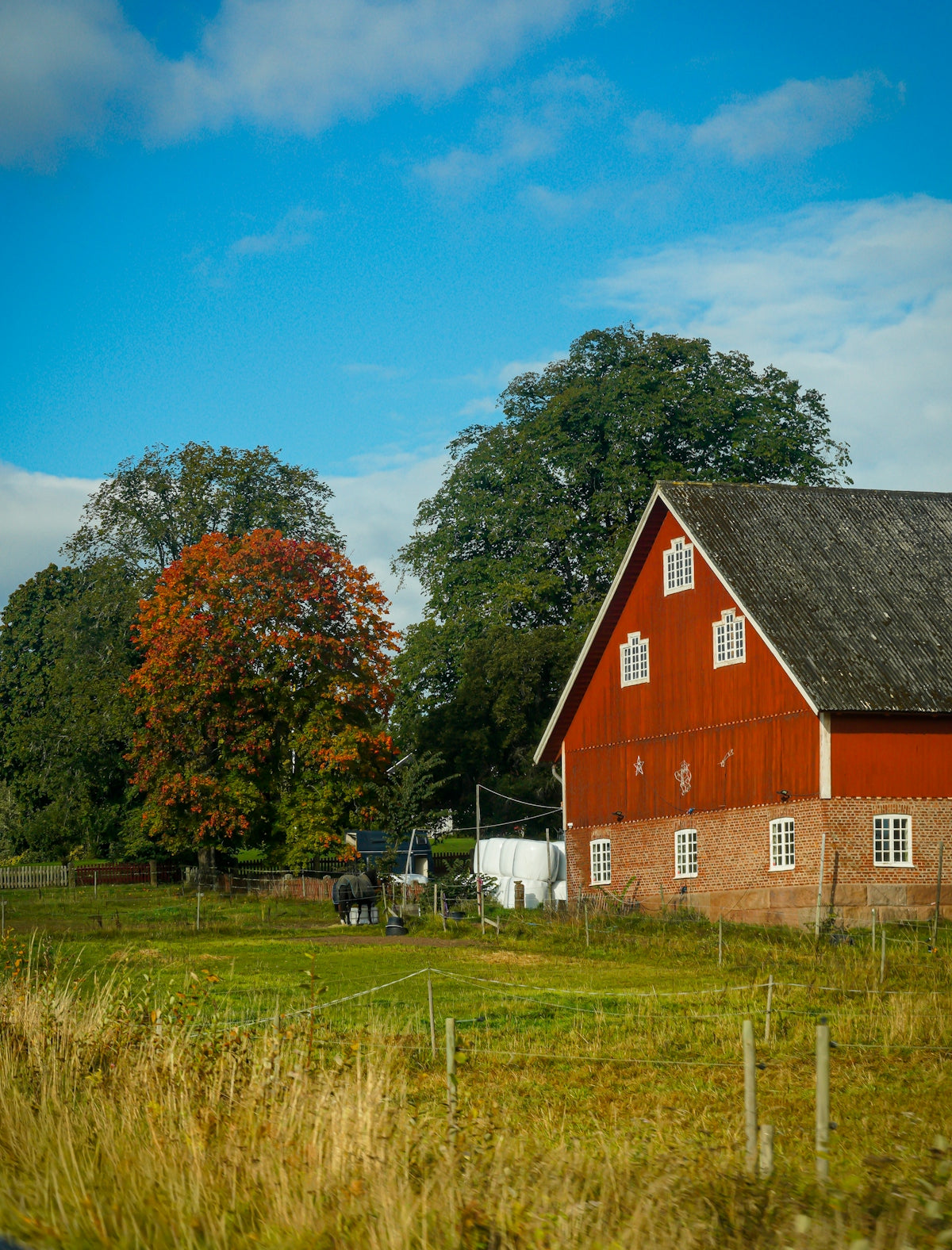 Red barn with white windows in a grassy field.