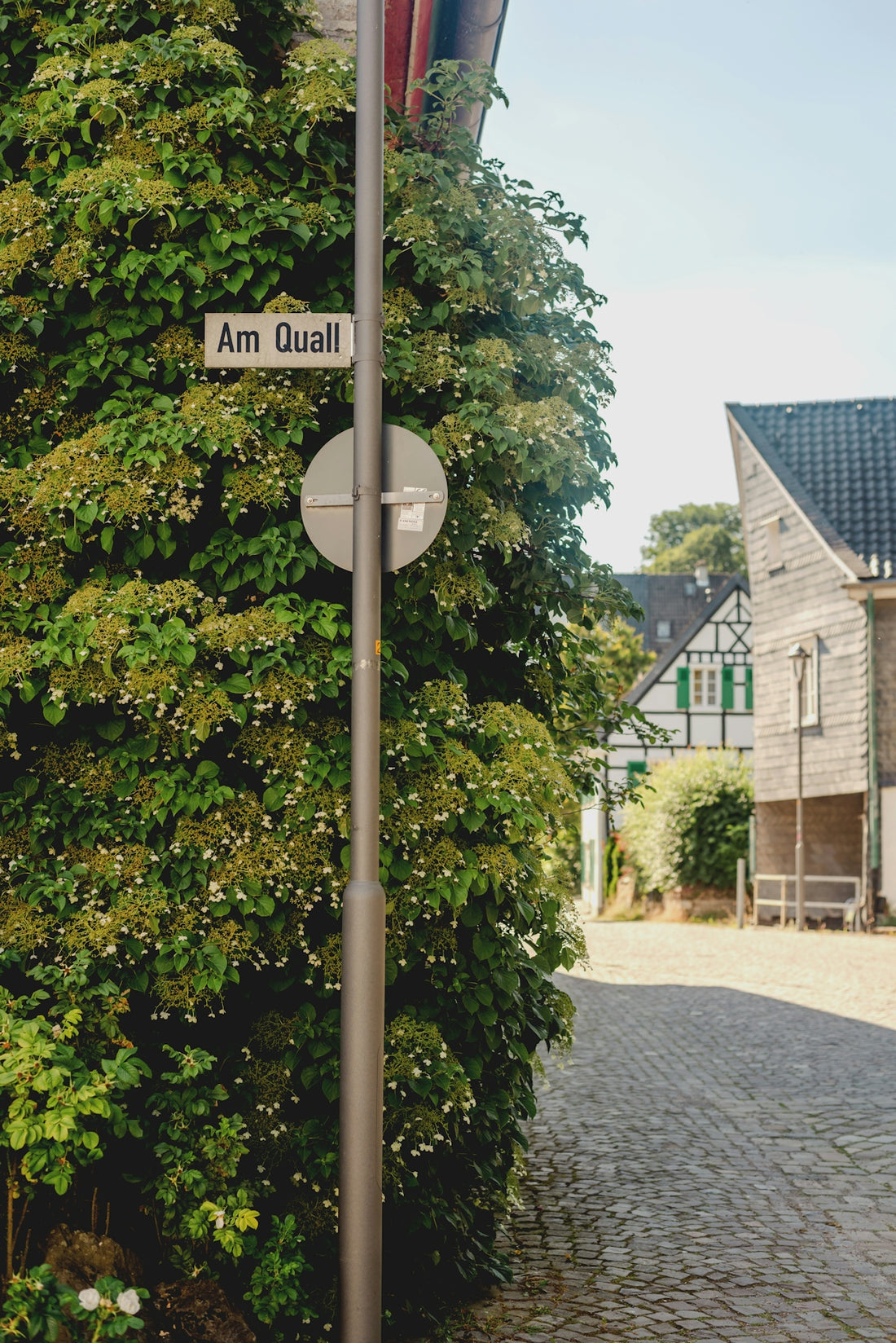 Street sign on a vine-covered pole in a village