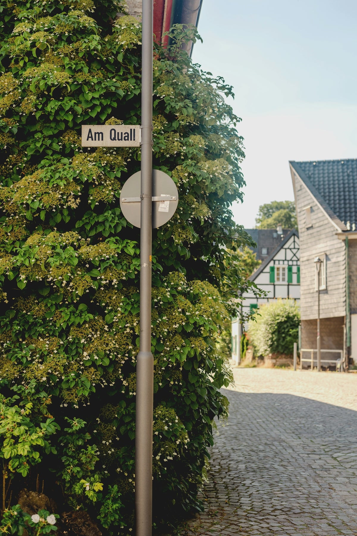 Street sign on a vine-covered pole in a village