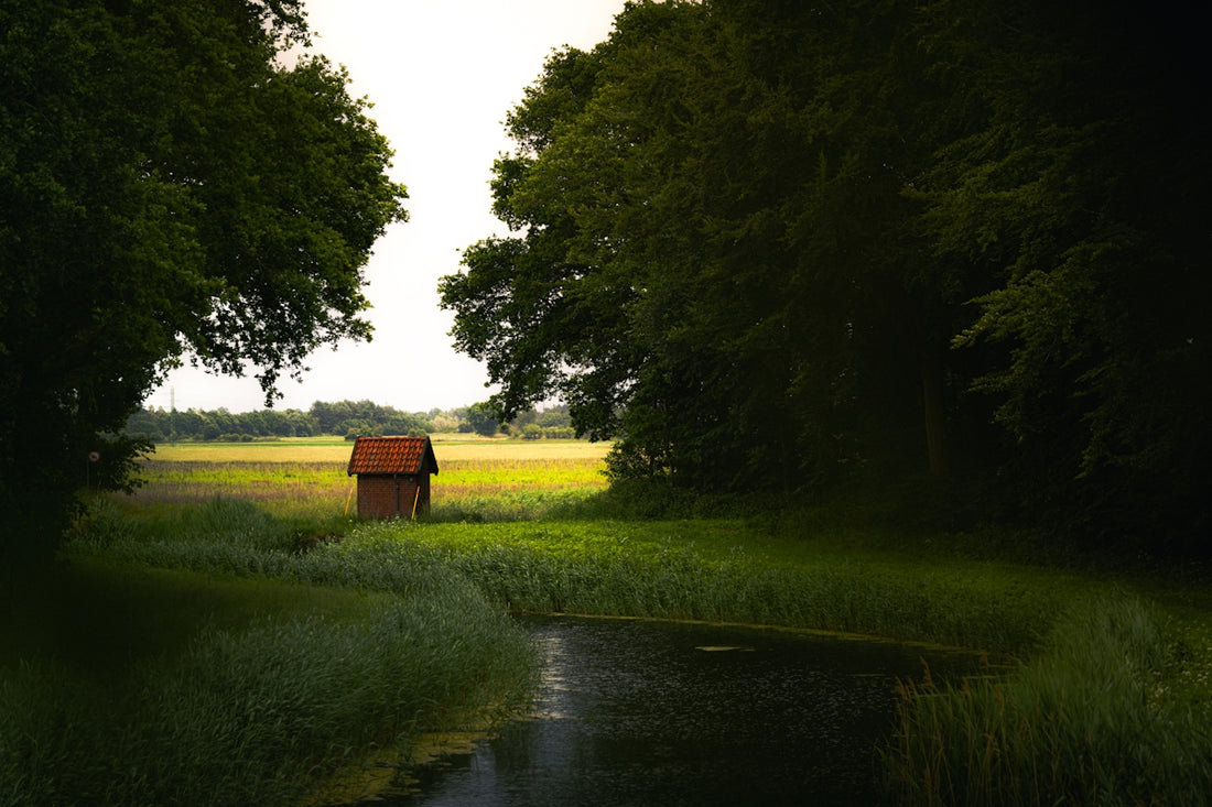 Small wooden hut by stream, framed by trees