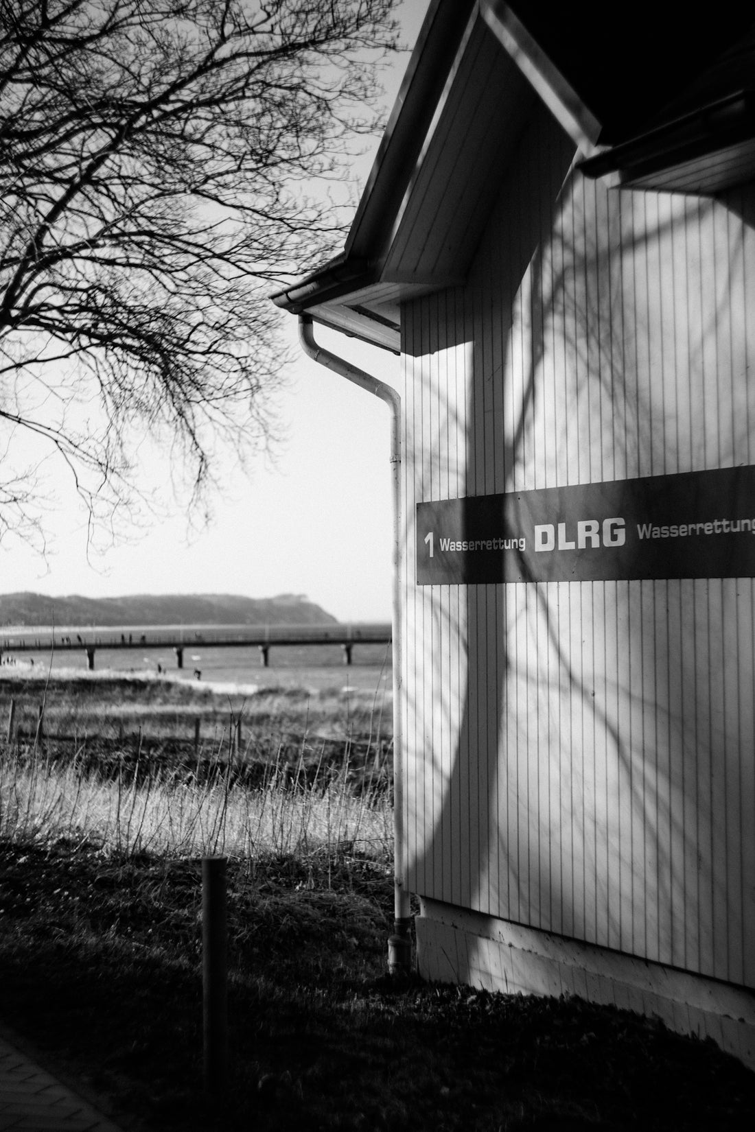 Bare tree casts shadow on dlrg building by the water.