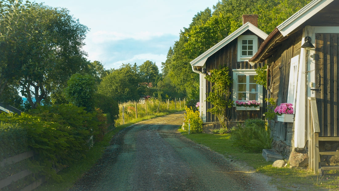 Rural dirt road winding past traditional wooden cottages.