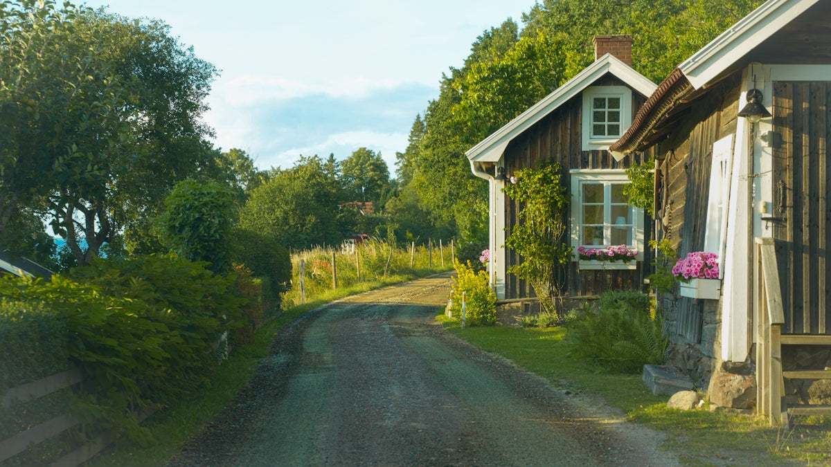 Rural dirt road winding past traditional wooden cottages.