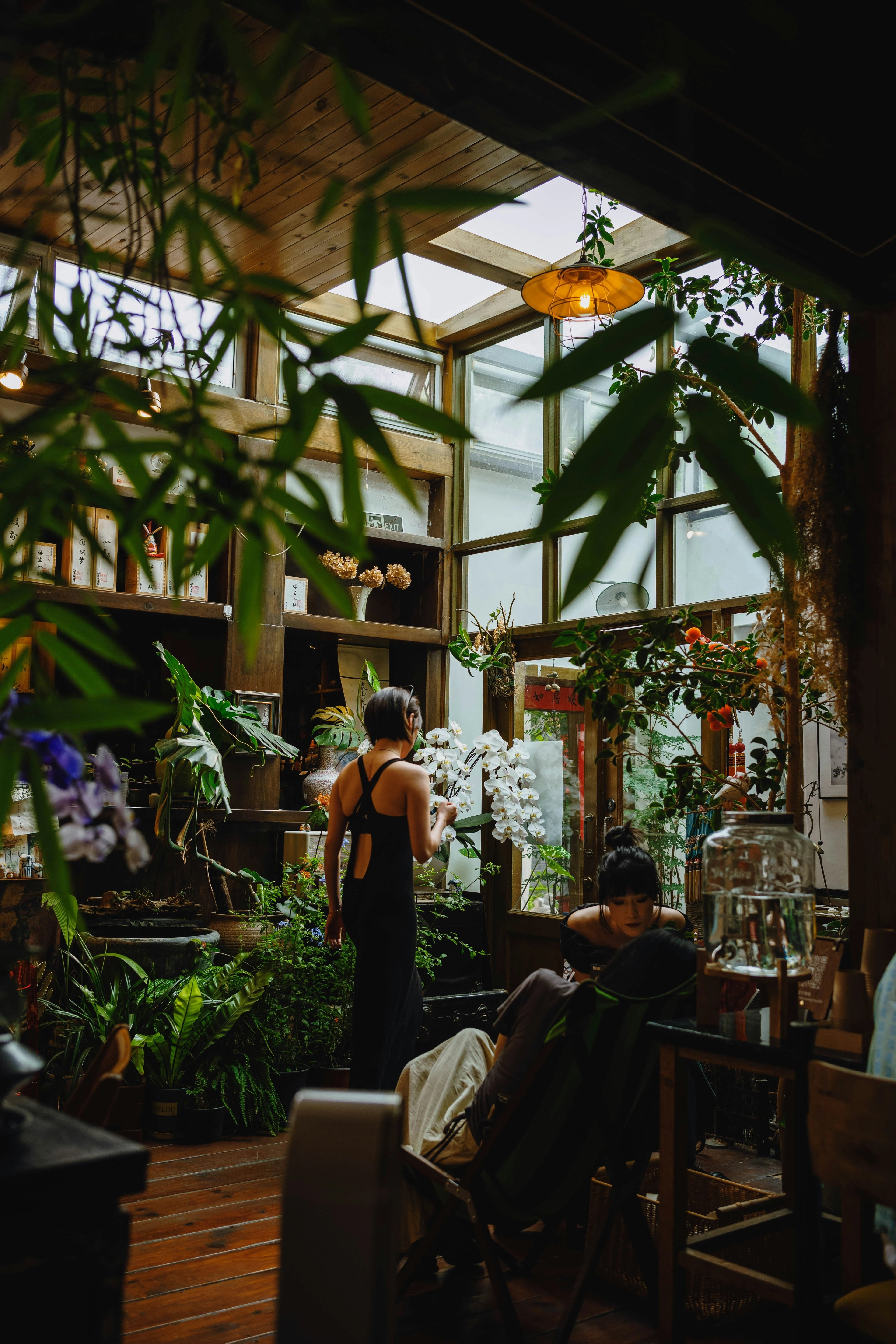 Buy Indoor plants online | Idyl