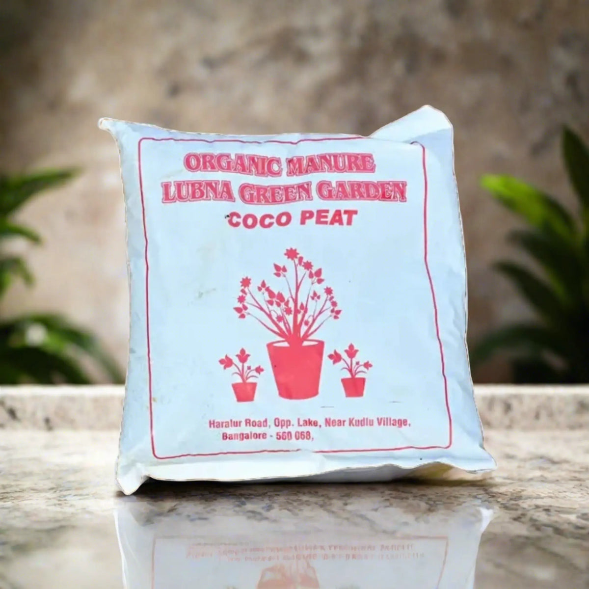 How to Make Curry Leaf Fertilizer at Home  Idyl