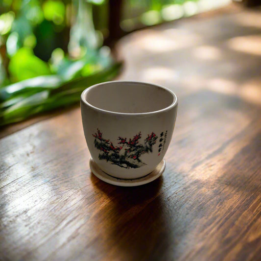Buy Ceramic Pot Online
