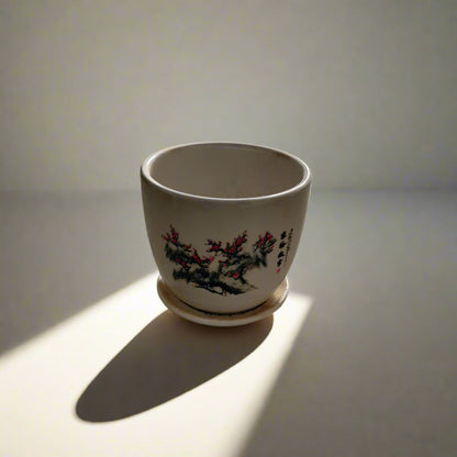 Ceramic Pot in Bangalore