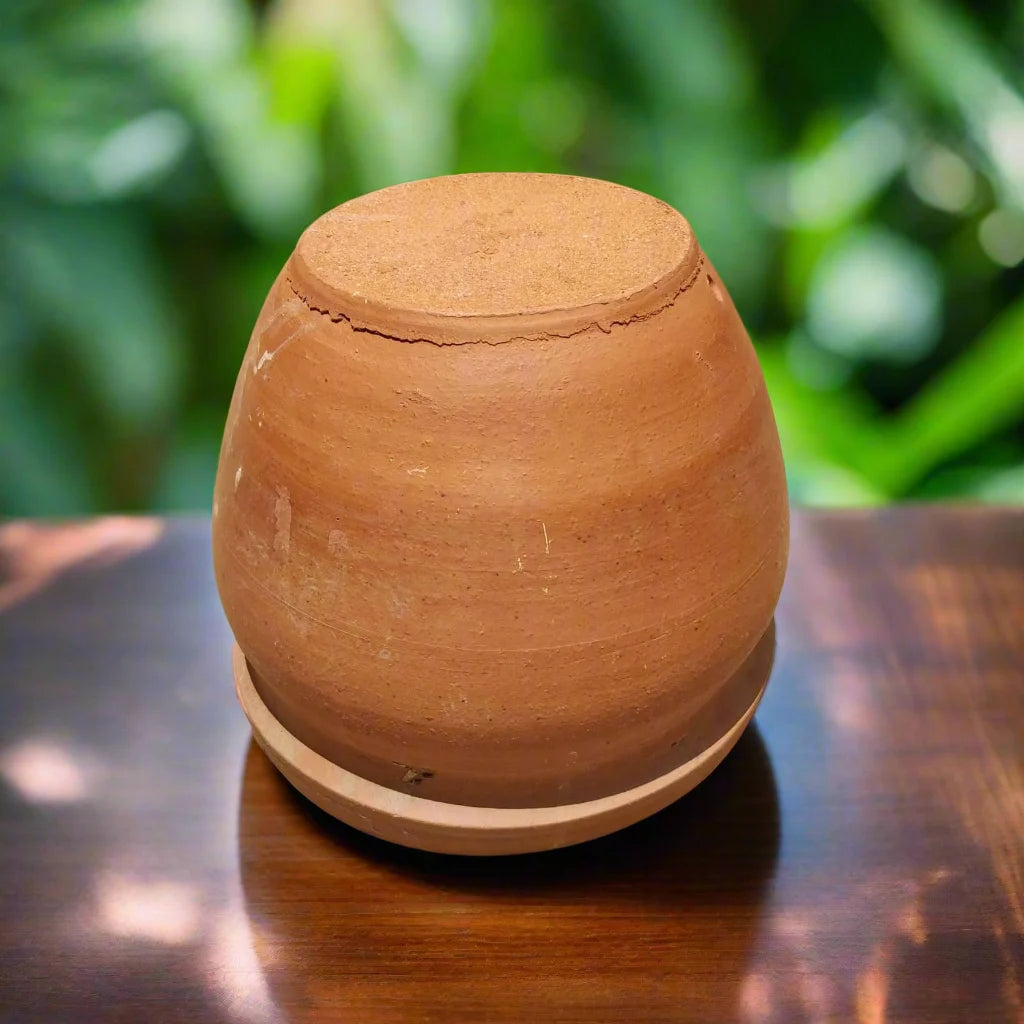 Buy terracotta pot near me