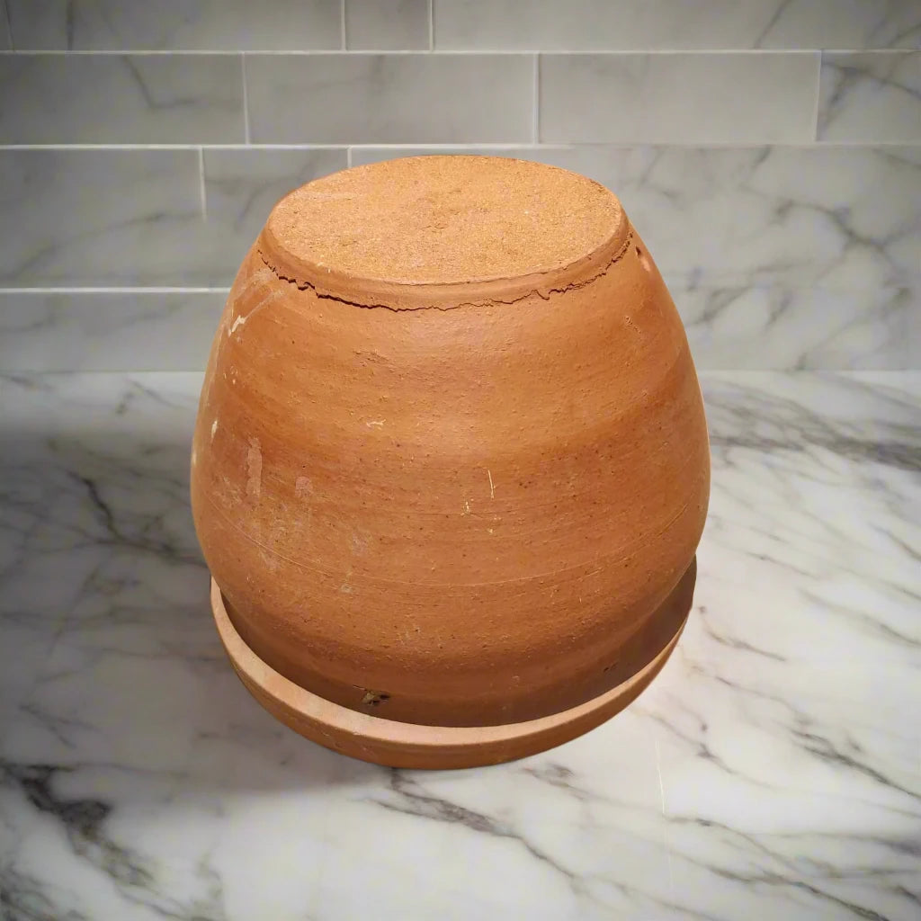 Buy The Clay Bloom Pot