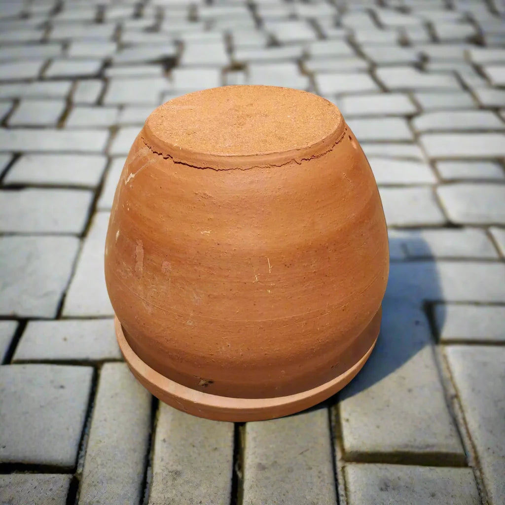 Buy terracotta pot from Idyl