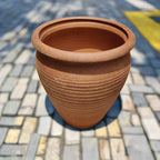 Buy an elegant terracotta pot