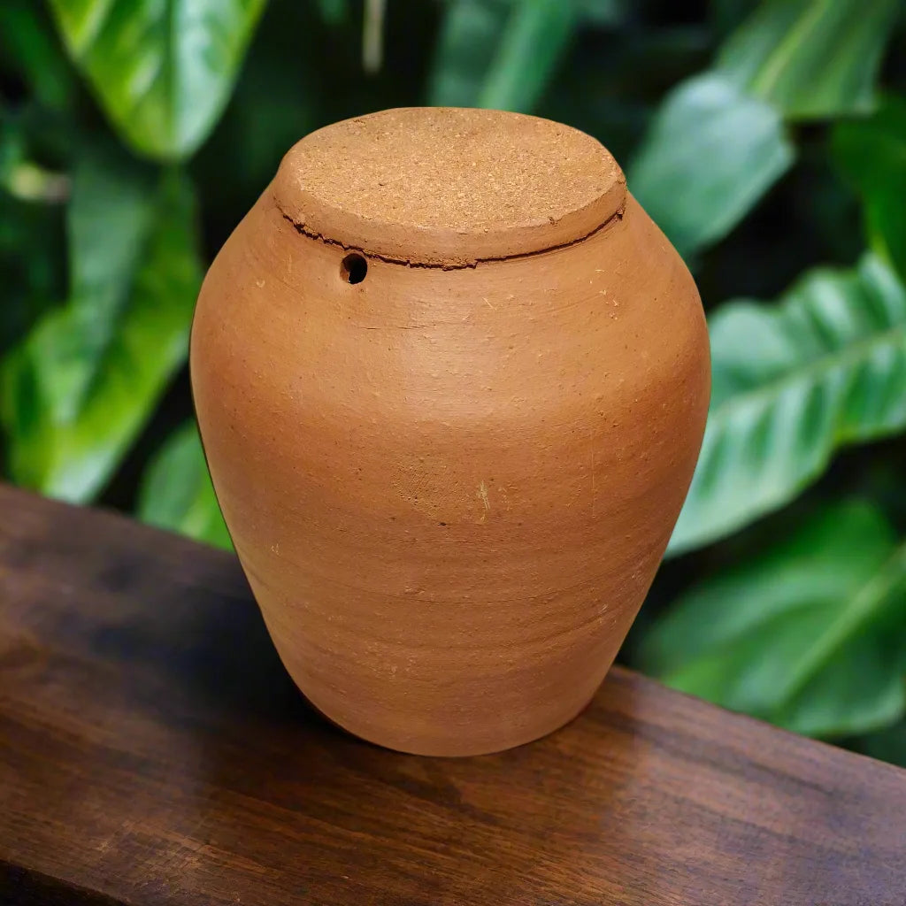 Buy Terracotta Pots Near Me